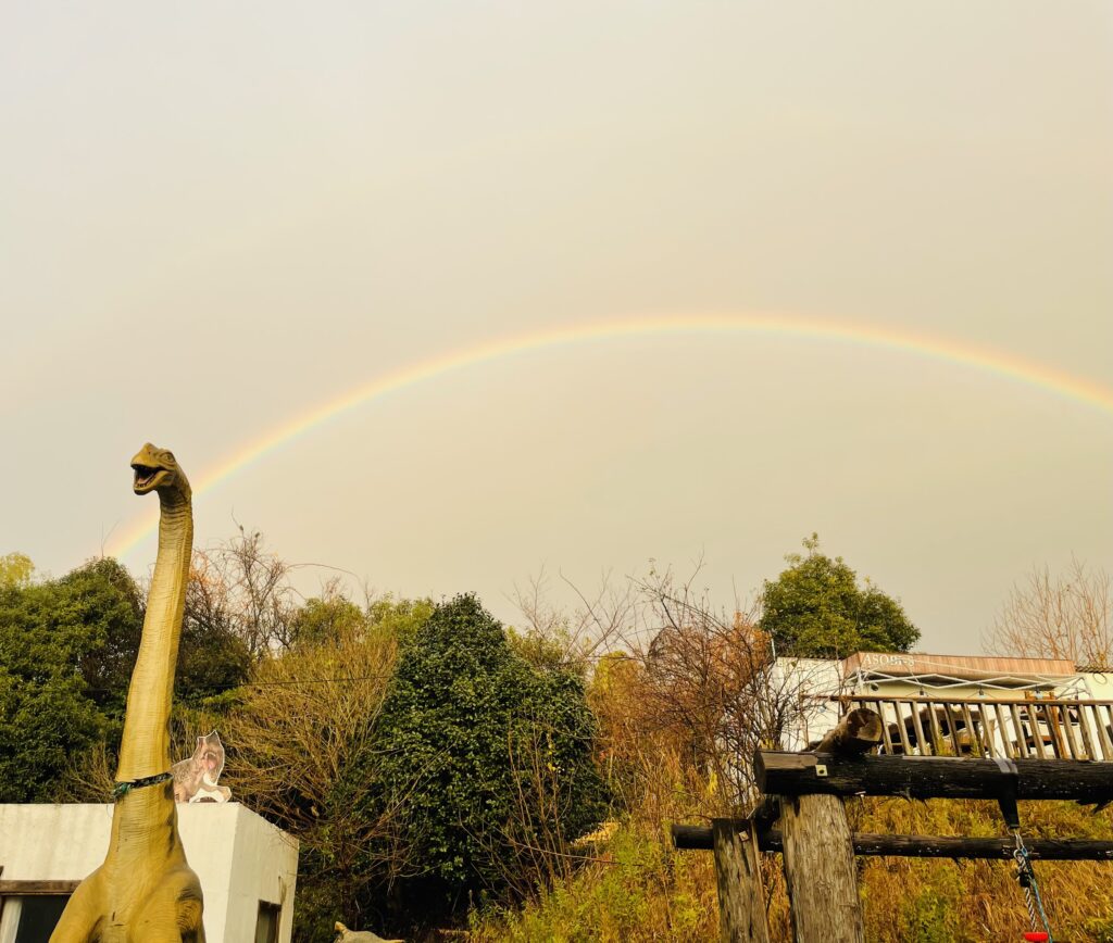 恐竜と虹